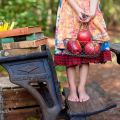 Vuelta al Cole. 14 Consejos para el Primer Día[...]