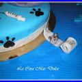 tarta veterinario