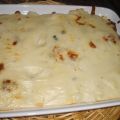 Canelones de espinacas y queso