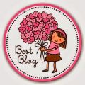 Premio al   Best Blog