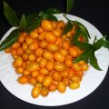 Cosecha propia (I)