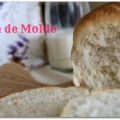 Pan de Molde
