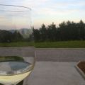 BODEGAS SEL D'AIZ