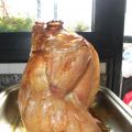 Pollo sentado.
