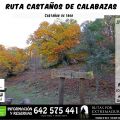 Ruta Castaños de Calabazas
