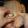 Menú de hoy: Pollo asado a la sidra y de[...]