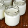 Yogur natural en yogurtera