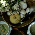 Crema de champiñones, espárragos y puerros,[...]