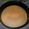 BIZCOCHO GENOVÉS(THERMOMIX)