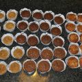 Muffins