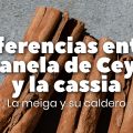 Diferencias entre la Canela de Ceylán y la[...]