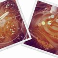 Macatejas + Cupcakes de vainilla con[...]