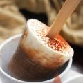 Iced Mocha Popsicles
