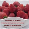 Ensalada de sandía y nectarina