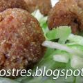 ALBONDIGAS DE CALABACINES