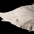 ¿Como desalar el Bacalao?