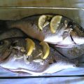 Dorada a la espalda