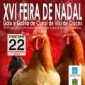 Evento: XVI Feira do galo de curral de Vila de[...]