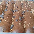 Tarta cremosa de chocolate negro con bizcochos[...]