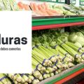 Verduras. Por qué y cómo debes comerlas