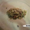ROLLITOS DE PRIMAVERA THERMOMIX
