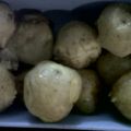 PAPA CRIOLLA (AMARILLA)