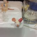 TARTA DE RATONES 3.0