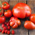 Érase una vez... Tomates y tomata.