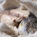 DORADA A LA SAL