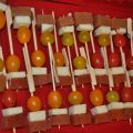 APERITIVOS VARIADOS