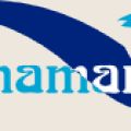 GRUPO LINAMAR