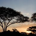 De viaje a Tanzania...
