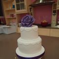 Tarta de boda con Alma Obregon