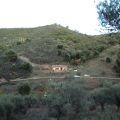 En la naturaleza