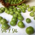 Tagine de guisantes, alcachofas y ternera