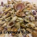 Coquinas