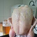 Pollo sentado a la cerveza