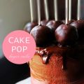 Chocolate Cake Pop Layer Cake