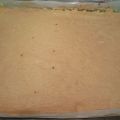 Plancha de bizcocho