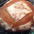 Masa Madre
