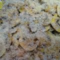 CARPACCIO DE CHAMPIÑONES CON PARMESANO