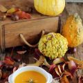 Crema calabaza
