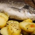 Dorada a la sal