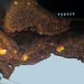 BROWNIE 2 CHOCOLATES CON FRUTOS SECOS