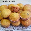 MAGDALENAS DE MANGO Y CHOCOLATE