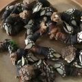 PERCEBES