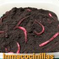 LOMBRICES EN EL JARDÍN - THERMOMIX - FELIZ[...]