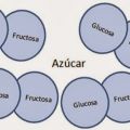 GastroQuímia: El Azúcar Invertido