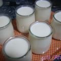 Yogures caseros