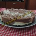 Cheesecake marmolado sin horno y sin Thermomix